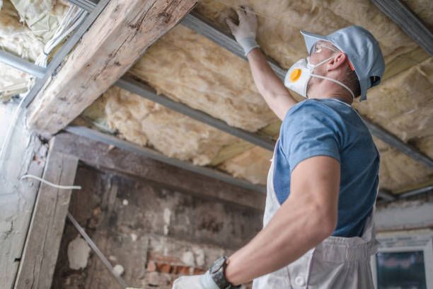 Best Spray Foam Insulation  in French Island, WI