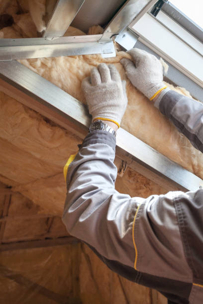 Best Fiberglass Insulation  in French Island, WI