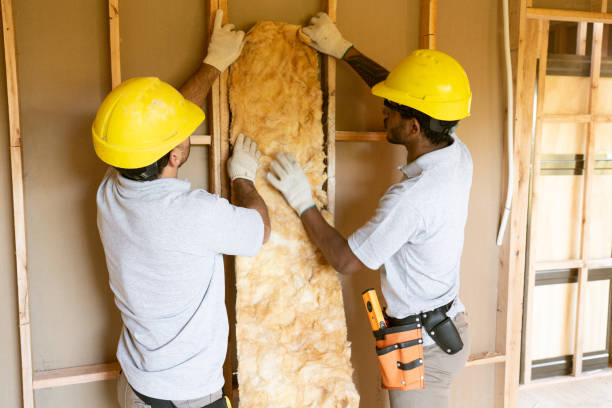 Best Insulation Contractor Near Me  in French Island, WI